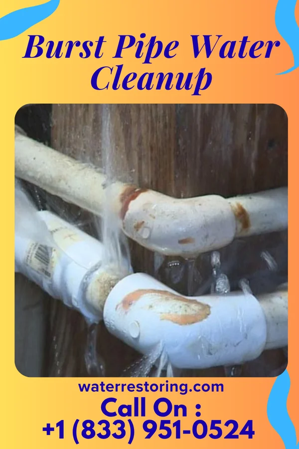 Burst Pipe Water Cleanup in Hopewell, NJ