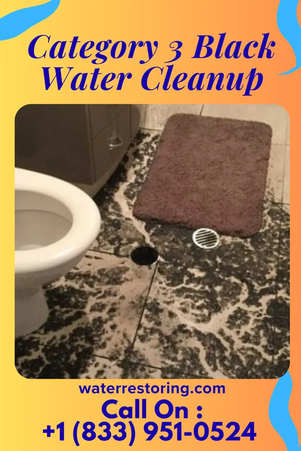 Category 3 Black Water Cleanup in Hopewell, NJ