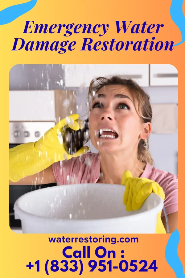 Emergency Water Damage Restoration in Hopewell, NJ