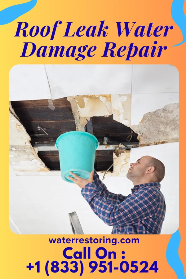 Roof Leak Water Damage Repair in Hopewell, NJ