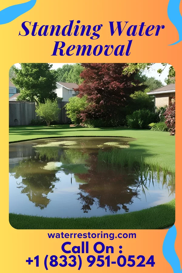 Standing Water Removal in Hopewell, NJ